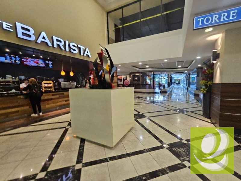 ALQUILO OFICINA EN ZONA 14 EUROPLAZA - 10