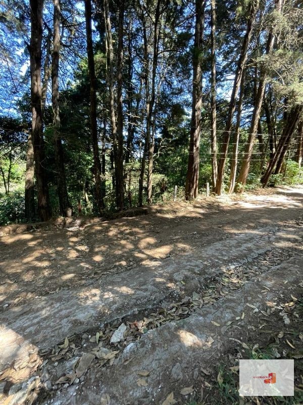 Terreno en lotificación Carr.a El Salvador 1/2 Mz. Km.22.5 - 7