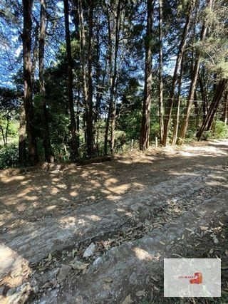 Terreno en lotificación Carr.a El Salvador 1/2 Mz. Km.22.5  — Terreno en Venta en Carretera a El Salvador, Guatemala, Ciudad — miniatura 5 de 10