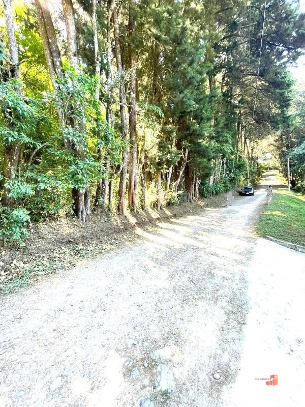 Terreno en lotificación Carr.a El Salvador 1/2 Mz. Km.22.5 - 1