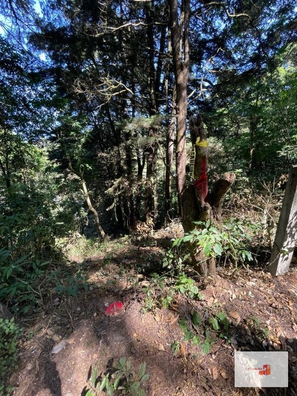 Terreno en lotificación Carr.a El Salvador 1/2 Mz. Km.22.5 - 4