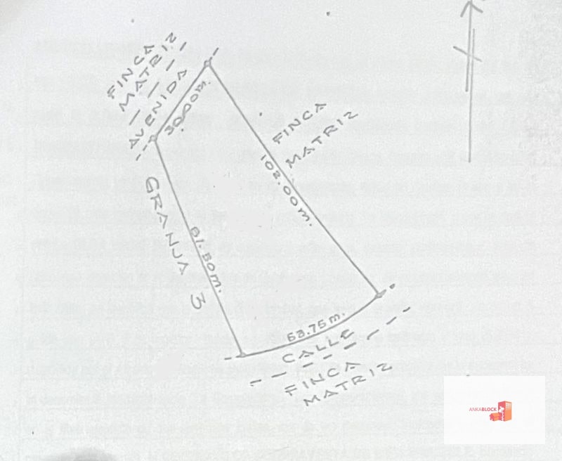 Terreno en lotificación Carr.a El Salvador 1/2 Mz. Km.22.5  - 3