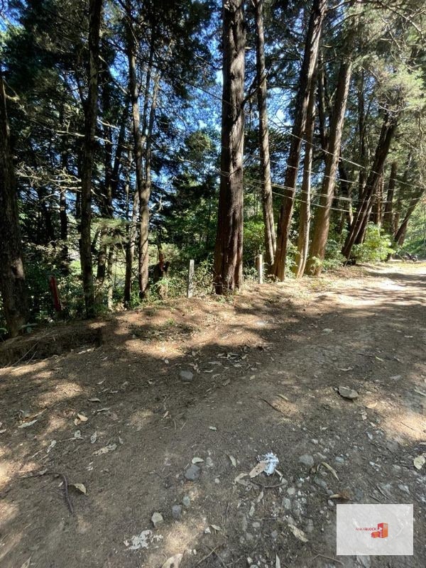 Terreno en lotificación Carr.a El Salvador 1/2 Mz. Km.22.5 - 6