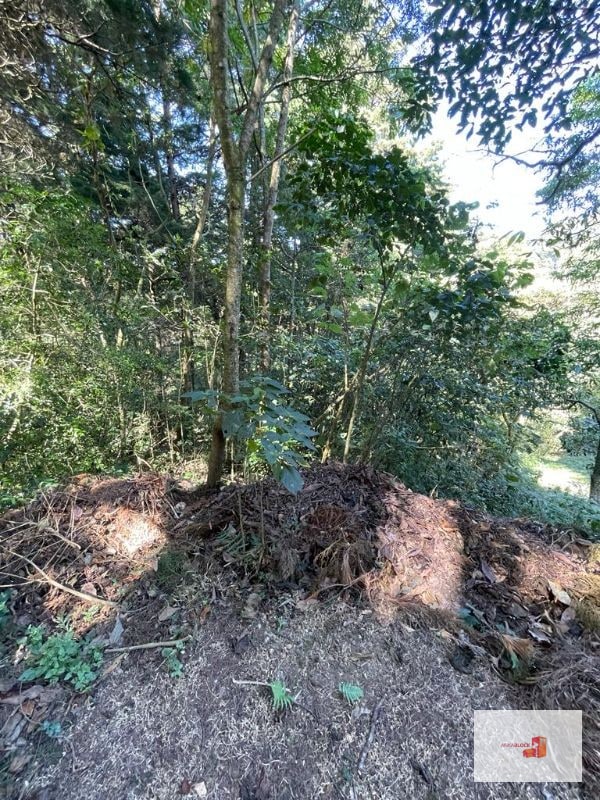 Terreno en lotificación Carr.a El Salvador 1/2 Mz. Km.22.5 - 2