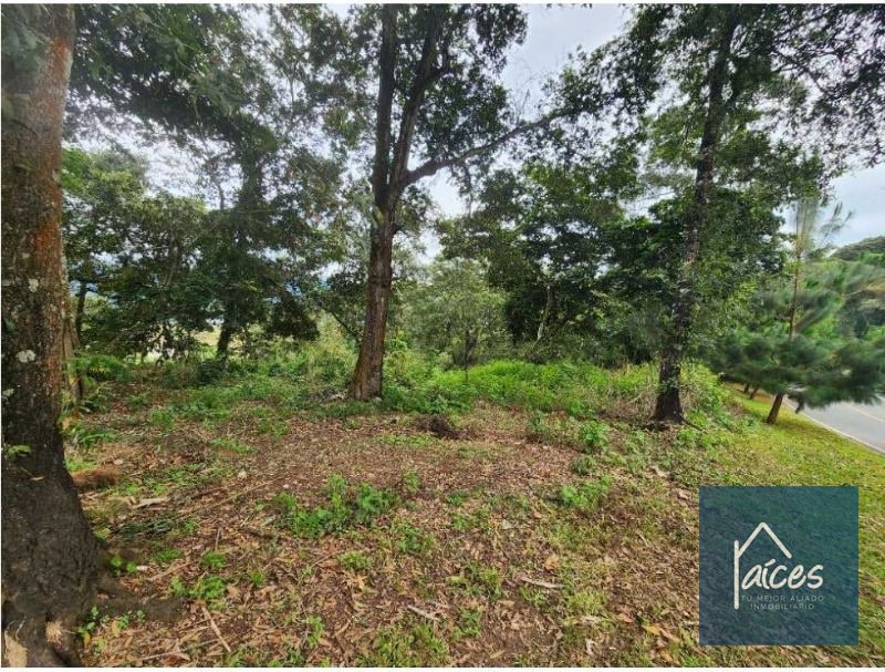 Terreno en venta EL PULTÉ GOLF Zona 16 (D) - 2