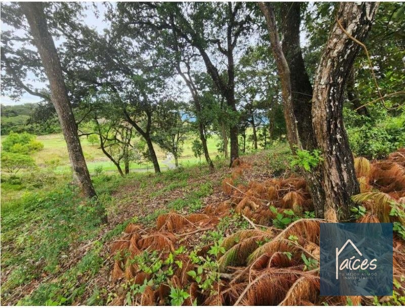 Terreno en venta EL PULTÉ GOLF Zona 16 (D) - 3