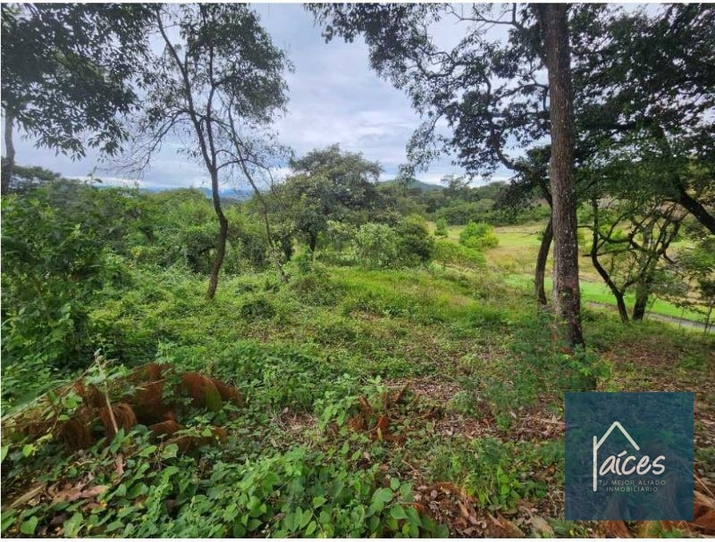Terreno en venta EL PULTÉ GOLF Zona 16 (D) - 2