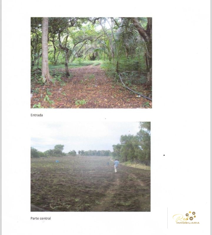 ATENCIÓN INVERSIONISTAS VENTA TERRENO MONTERRICO - 3