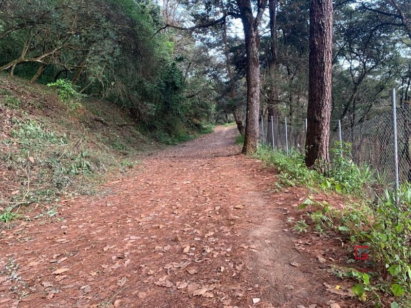 Terreno El Encinal - 1