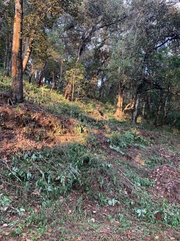 Terreno El Encinal  - 3
