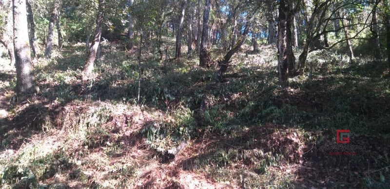 Terreno El Encinal - 2