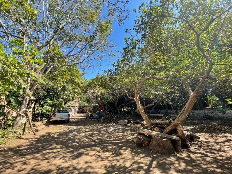 VENDO TERRENO CON PRODUCCION DE BAMBÚ EN PUERTO SAN JOSE — Terreno en Venta en Puerto San José, Escuintla — foto 11 de 13