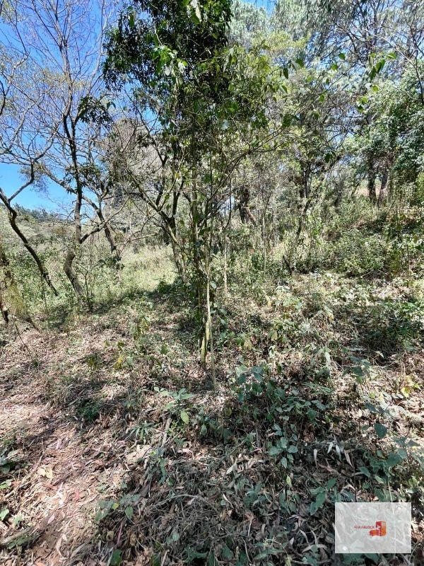 Venta de terreno en Lotificación - 3
