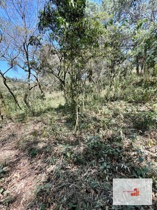 Venta de terreno en Lotificación — Terreno en Venta en Santa Catarina Pinula, Guatemala, Ciudad — miniatura 2 de 4