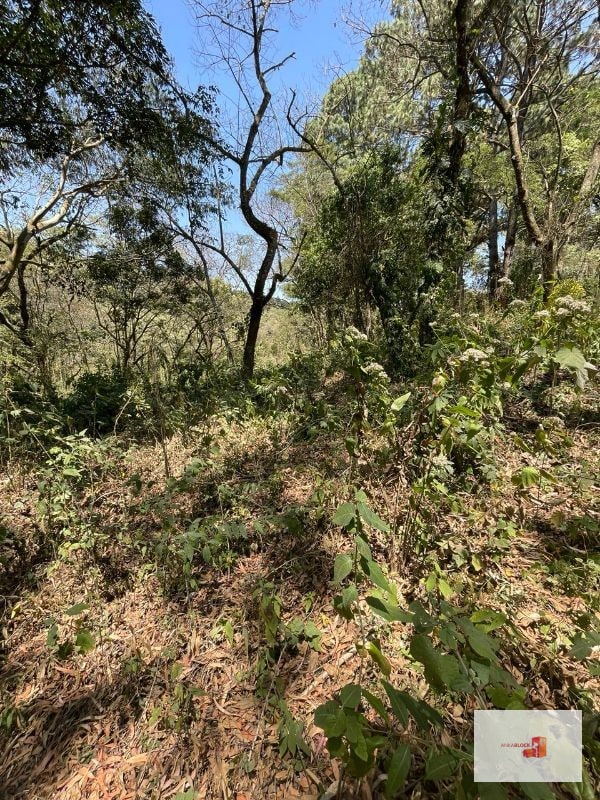 Venta de terreno en Lotificación - 2