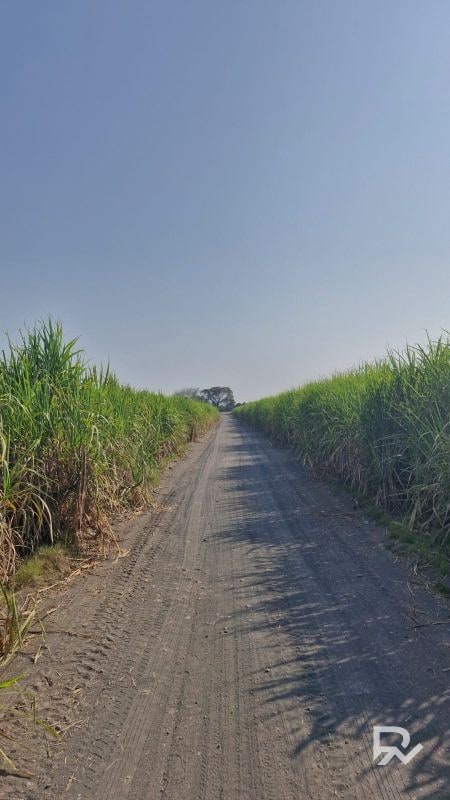 Vendo terreno en antigua carretera Puerto de San José a orilla de carretera - 2