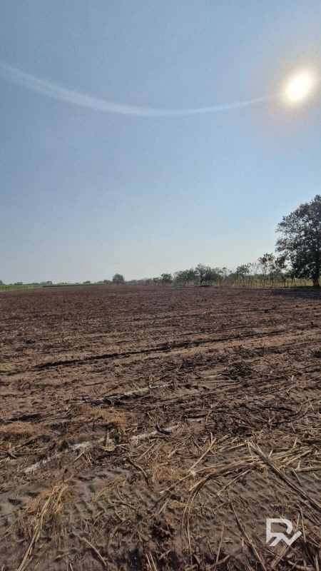 Vendo terreno en antigua carretera Puerto de San José a orilla de carretera - 3
