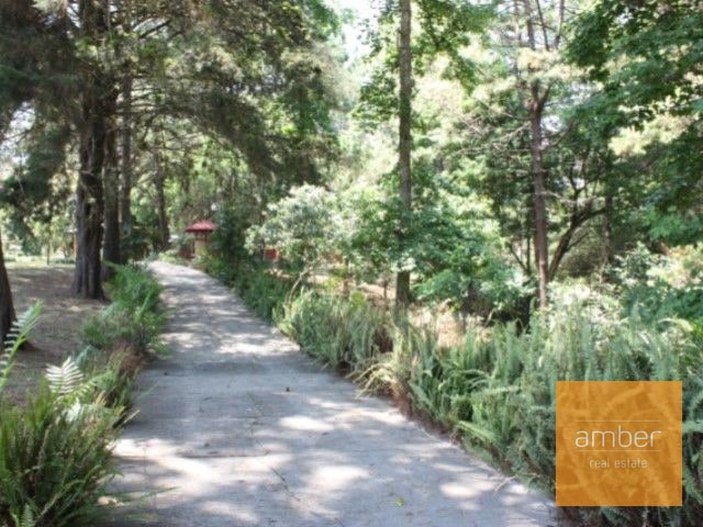 Terreno en Cristo Rey (Ideal para desarrollo) - 1