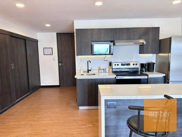 Apartamento Amueblado Edificio Canamco, Zona 10 — Apartamento en Alquiler en Canamco, Zona 10, Guatemala, Ciudad — foto 4 de 5