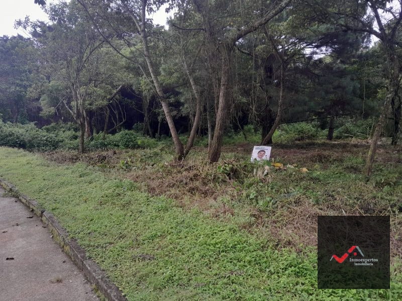 TERRENO EN VENTA CARRETERA A EL SALVADOR CASA Y CAMPO KM. 23.5 - 3