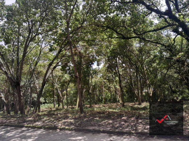 TERRENO EN VENTA EN CARRETERA A EL SALVADOR CONDOMINIO CASA Y CAMPO INMEDIATO A LA VAS KM 23.5 - 3