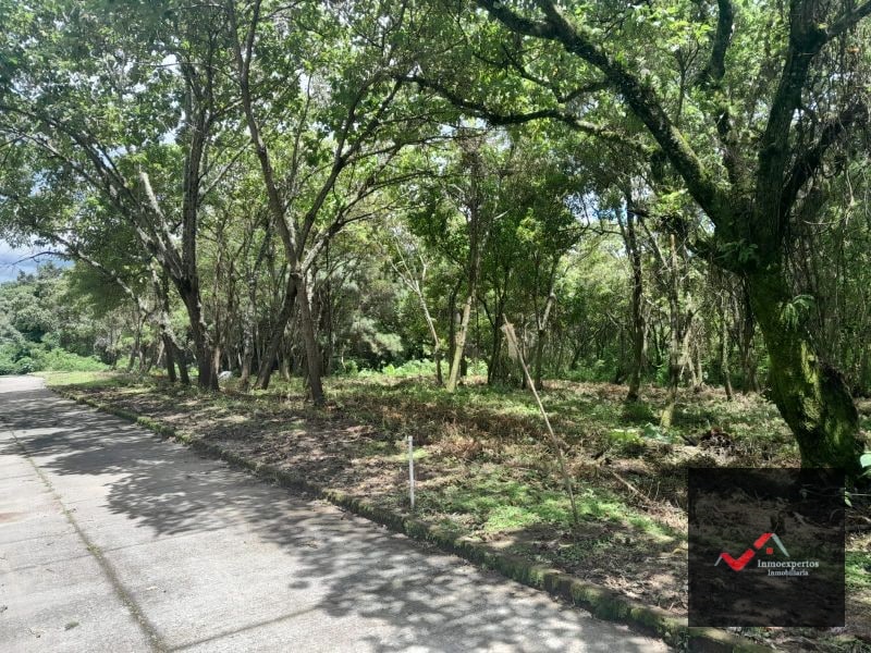 TERRENO EN VENTA CARRETERA A EL SALVADOR  CASA Y CAMPO  KM. 23.5  - 9
