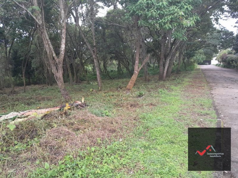TERRENO EN VENTA CARRETERA A EL SALVADOR CASA Y CAMPO KM. 23.5 - 5