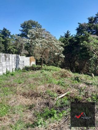 TERRENO EN VENTA CARRETERA A EL SALVADOR  CASA Y CAMPO  KM. 23.5  — Terreno en Venta en Carretera a El Salvador, Guatemala, Ciudad — miniatura 7 de 9