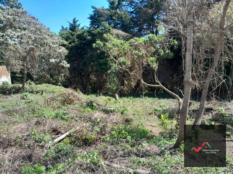 TERRENO EN VENTA CARRETERA A EL SALVADOR KM 23.5 CASA Y CAMPO - 8