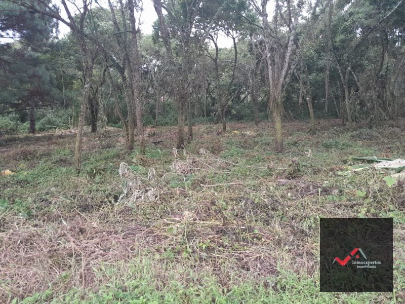 TERRENO EN VENTA EN CARRETERA A EL SALVADOR CONDOMINIO CASA Y CAMPO INMEDIATO A LA VAS  KM 23.5 — Terreno en Venta en Carretera a El Salvador, Guatemala, Ciudad — foto 7 de 9