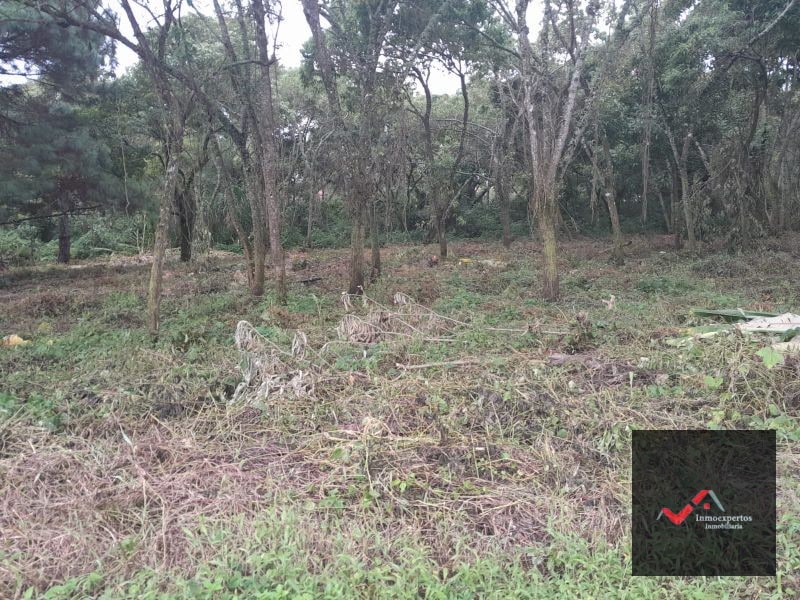 TERRENO EN VENTA CARRETERA A EL SALVADOR KM 23.5 CASA Y CAMPO - 4