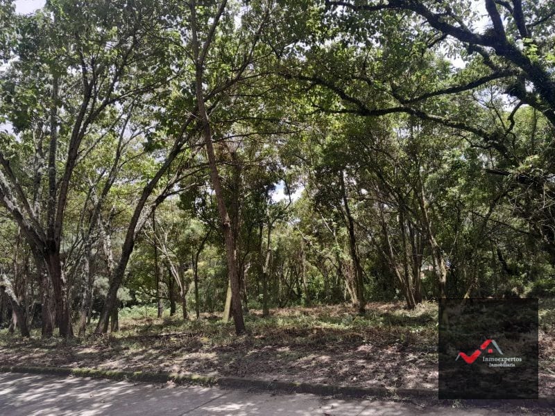 TERRENO EN VENTA CARRETERA A EL SALVADOR  CASA Y CAMPO  KM. 23.5  — Terreno en Venta en Carretera a El Salvador, Guatemala, Ciudad — foto 4 de 9