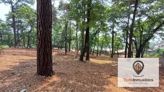 Terreno en Venta en km 21.5 Carretera Panamericana (San Lucas a Guatemala) — Terreno en Venta en Zona 1 Mixco, Guatemala, Ciudad — miniatura 4 de 9