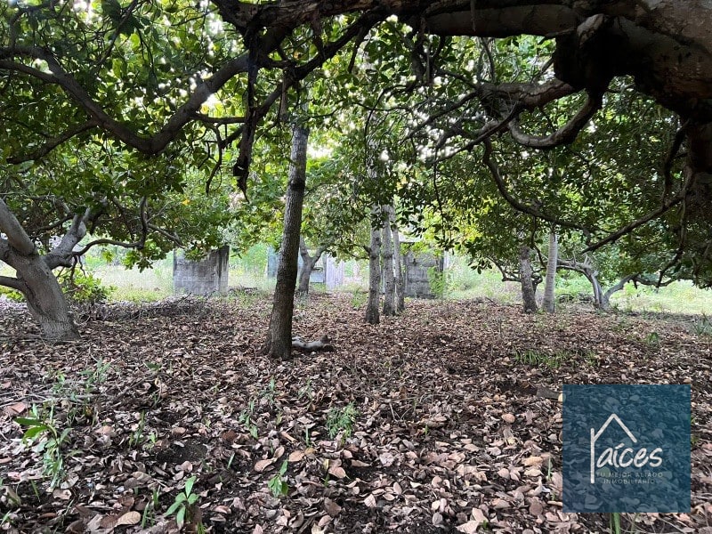 Terreno en venta en MONTERRICO ideal para desarrollar hotel (D) - 9
