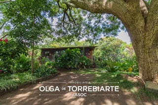 Terreno en Atitlan, Pajaibal de la Sirena — Terreno en Venta en Cerro de Oro, Sololá — miniatura 4 de 13
