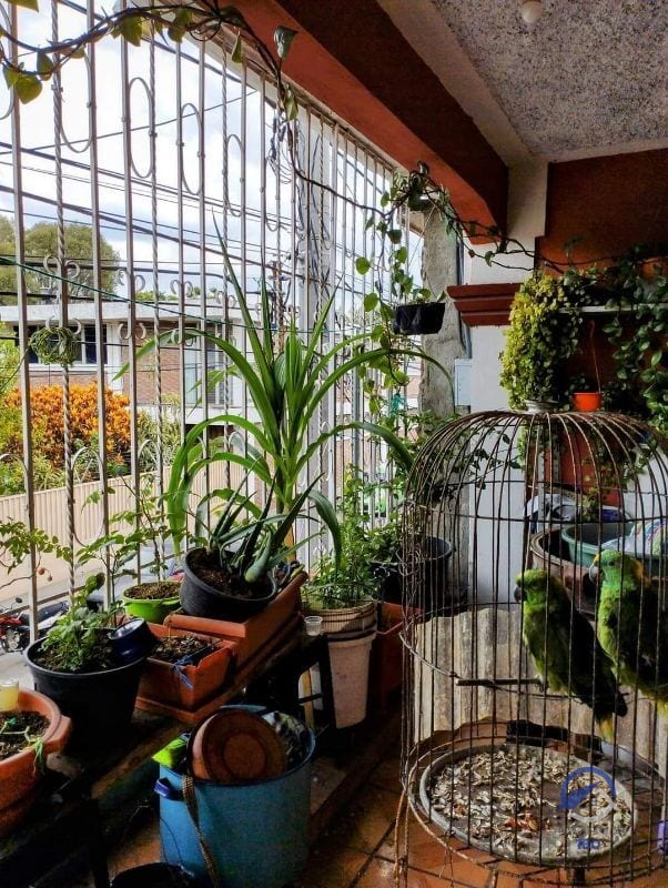 Casa en Venta en Barrio Gerona, zona 1, Ciudad de Guatemala — Casa en Venta en Barrio Gerona, Zona 1, Guatemala, Ciudad — foto 15 de 17