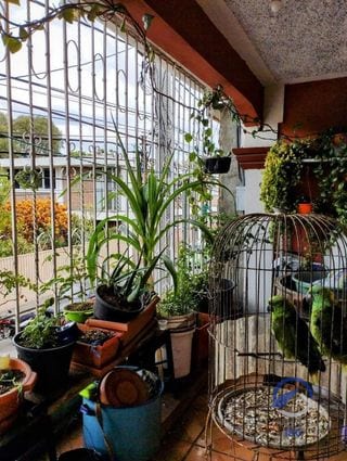 Casa en Venta en Barrio Gerona, zona 1, Ciudad de Guatemala — Casa en Venta en Barrio Gerona, Zona 1, Guatemala, Ciudad — miniatura 15 de 17