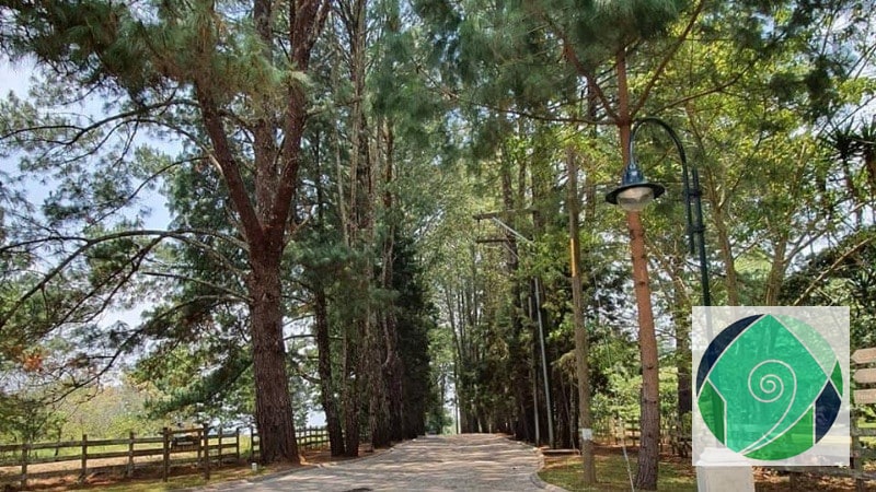 VENTA TERRENO EN SANTA ELENA DEL LAGO. Km. 32 SANTA ELENA BARILLAS - 15