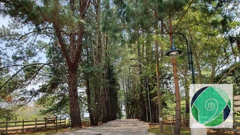 Venta Terreno en Santa Elena del Lago. KM. 32 Santa Elena Barillas — Terreno en Venta en Santa Elena Barillas, Guatemala, Ciudad — foto 15 de 16