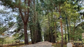 Venta Terreno en Santa Elena del Lago. KM. 32 Santa Elena Barillas — Terreno en Venta en Santa Elena Barillas, Guatemala, Ciudad — miniatura 15 de 16