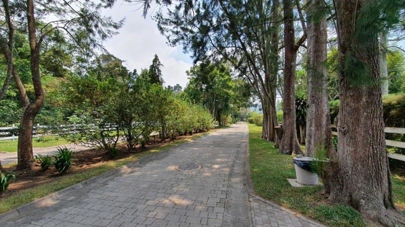 Venta Terreno en Santa Elena del Lago. KM. 32 Santa Elena Barillas — Terreno en Venta en Santa Elena Barillas, Guatemala, Ciudad — foto 14 de 16