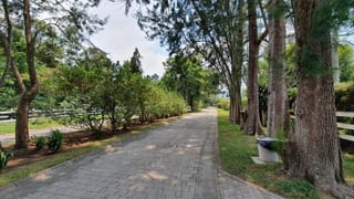 Venta Terreno en Santa Elena del Lago. KM. 32 Santa Elena Barillas — Terreno en Venta en Santa Elena Barillas, Guatemala, Ciudad — miniatura 14 de 16