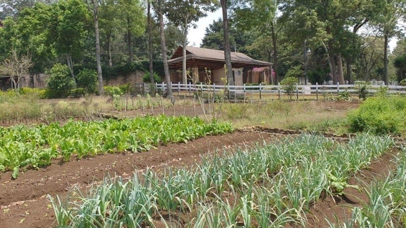 Venta Terreno en Santa Elena del Lago. KM. 32 Santa Elena Barillas — Terreno en Venta en Santa Elena Barillas, Guatemala, Ciudad — foto 16 de 16