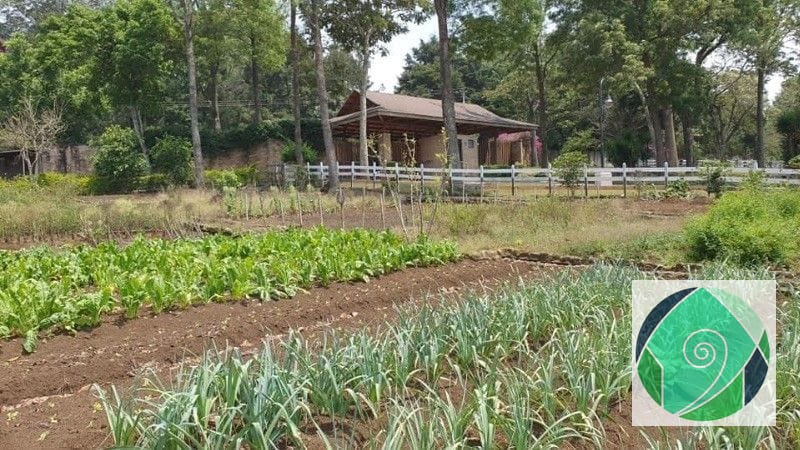 Venta Terreno en Santa Elena del Lago. KM. 32 Santa Elena Barillas — Terreno en Venta en Santa Elena Barillas, Guatemala, Ciudad — foto 16 de 16