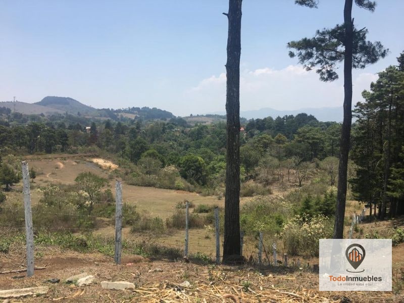 Terreno en Venta en Fraijanes 40 Mil v2 - 3