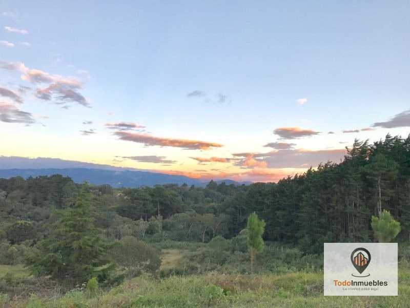 Terreno en Venta en Fraijanes 40 Mil v2 - 1