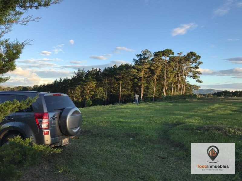 Terreno en Venta en Fraijanes 40 Mil v2 - 6