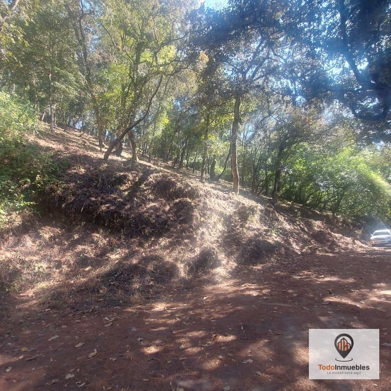 Terreno en Venta en El Encinal Tronco 10 - 3