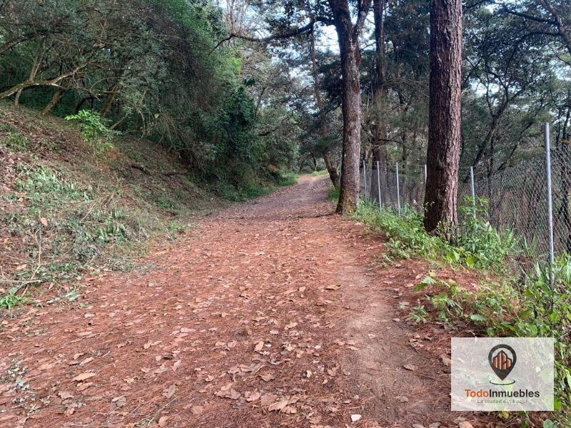 Terreno en Venta en El Encinal Tronco 10 - 1