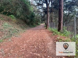 Terreno en Venta en El Encinal Tronco 10 — Terreno en Venta en El Encinal, Zona 7 Mixco, Guatemala, Ciudad — miniatura 1 de 4